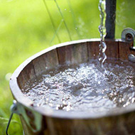 Биоудобрение «Корнефит и Гардефит»