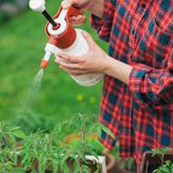 Биоудобрение «Корнефит и Гардефит»